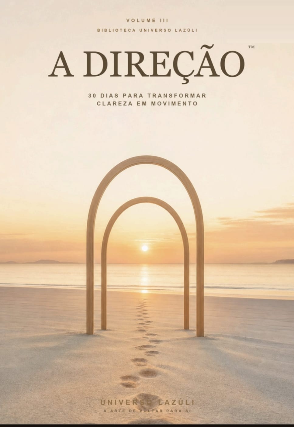 A Direção — Volume III